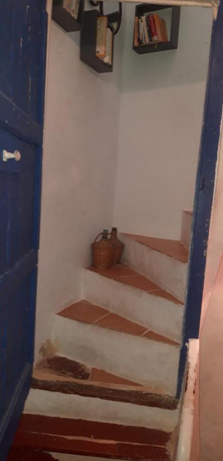 Gites Chez Daniel "Languedoc" Florensac Exterior photo